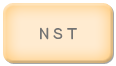 ＮＳＴ